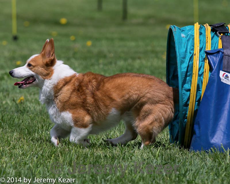 20140517-0698.jpg