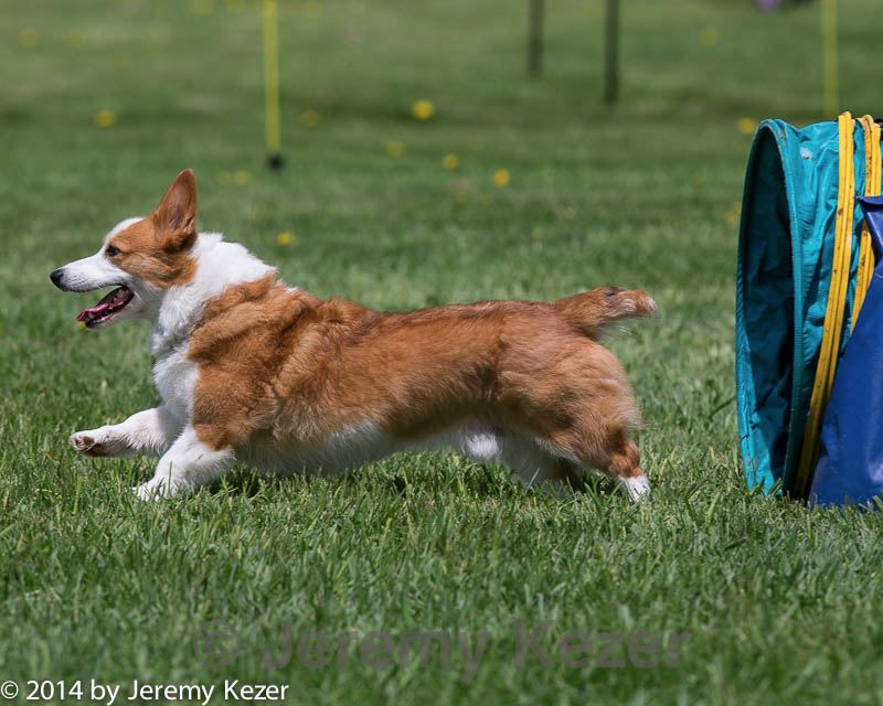 20140517-0699.jpg