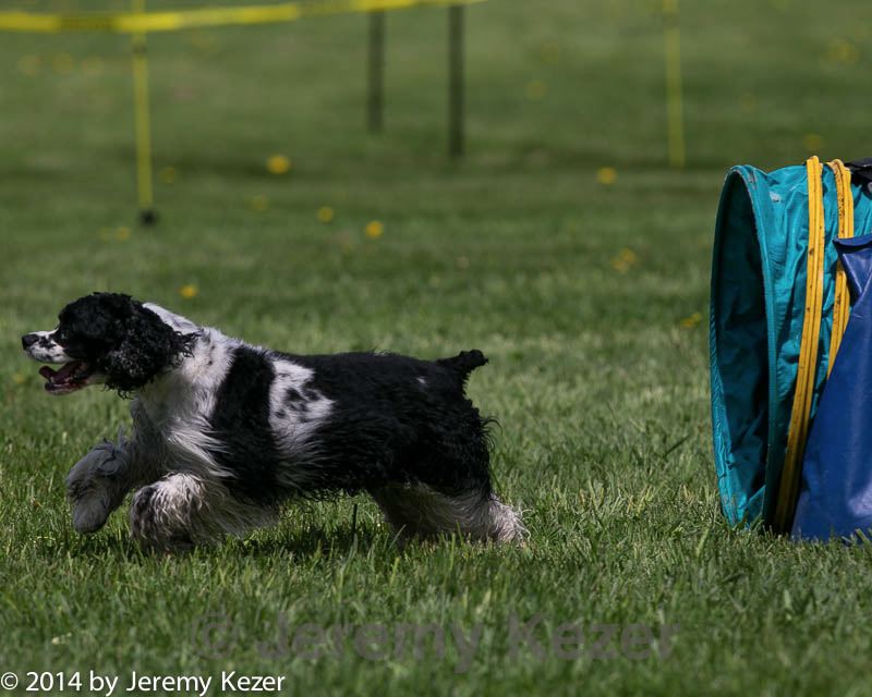 20140517-0705.jpg