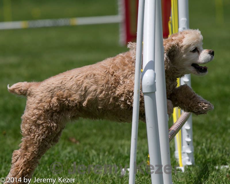 20140517-0710.jpg