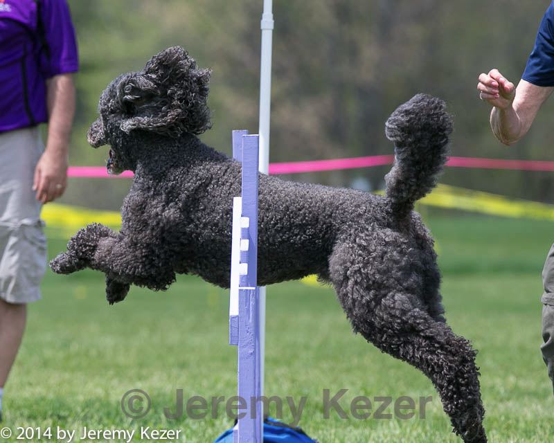 20140517-0827.jpg