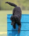 20140517-0560