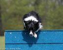 20140517-0620