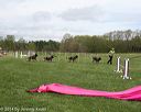 20140517-co-0036