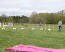 20140517-co-0037