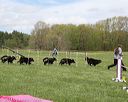 20140517-co-0042