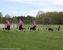 20140517-co-0017