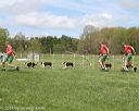 20140517-co-0033