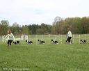 20140517-co-0005