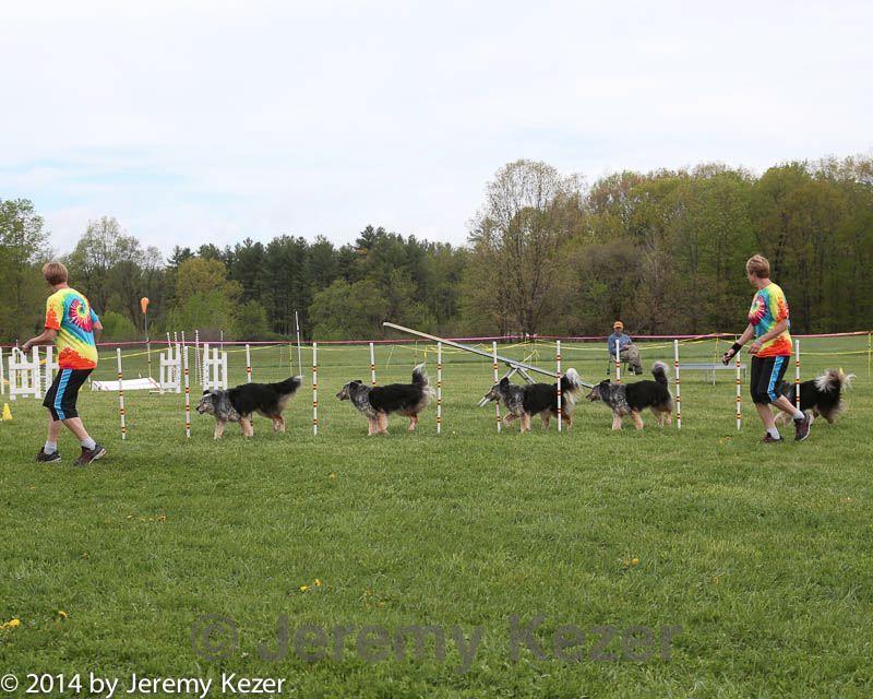 20140517-co-0008.jpg