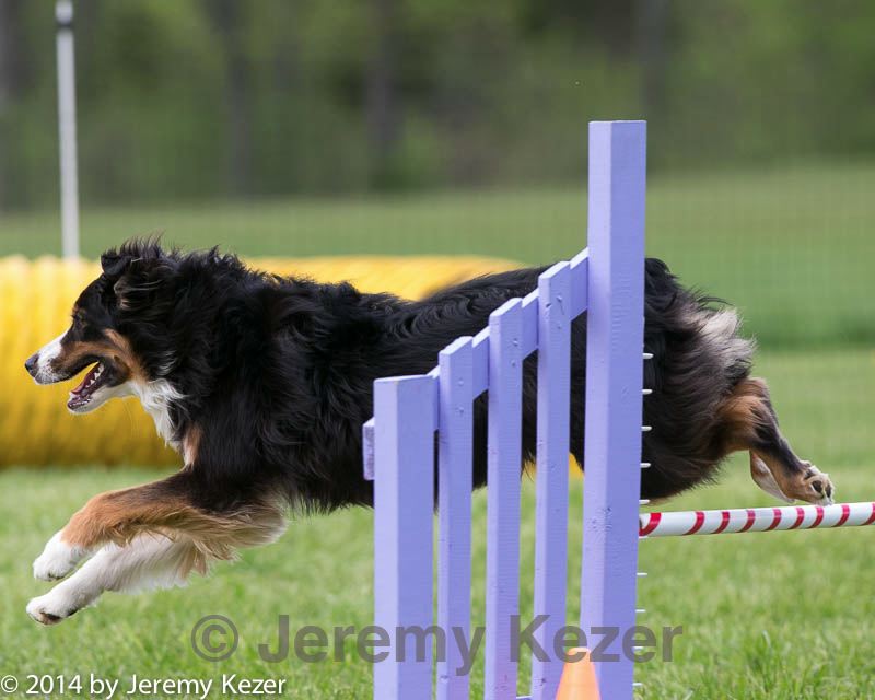 20140518-0889.jpg