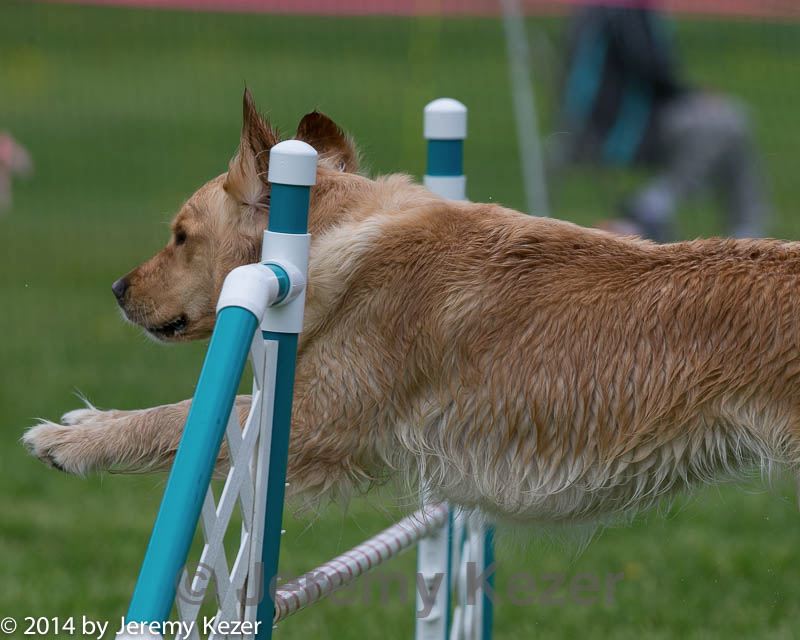 20140518-0840.jpg