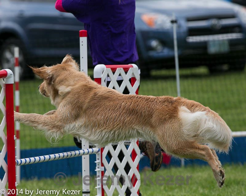20140518-0844.jpg