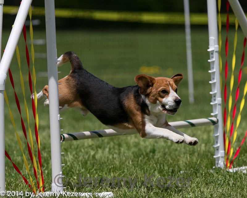 20140518-0679.jpg