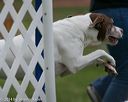 20140518-0727