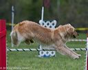 20140518-0691