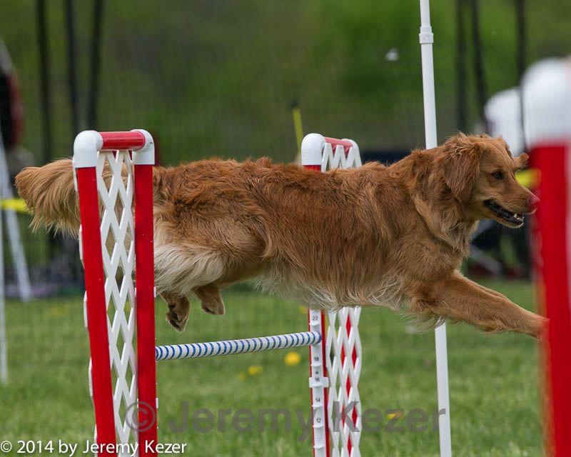 20140518-0696.jpg