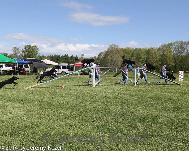 20140518-co-0009.jpg