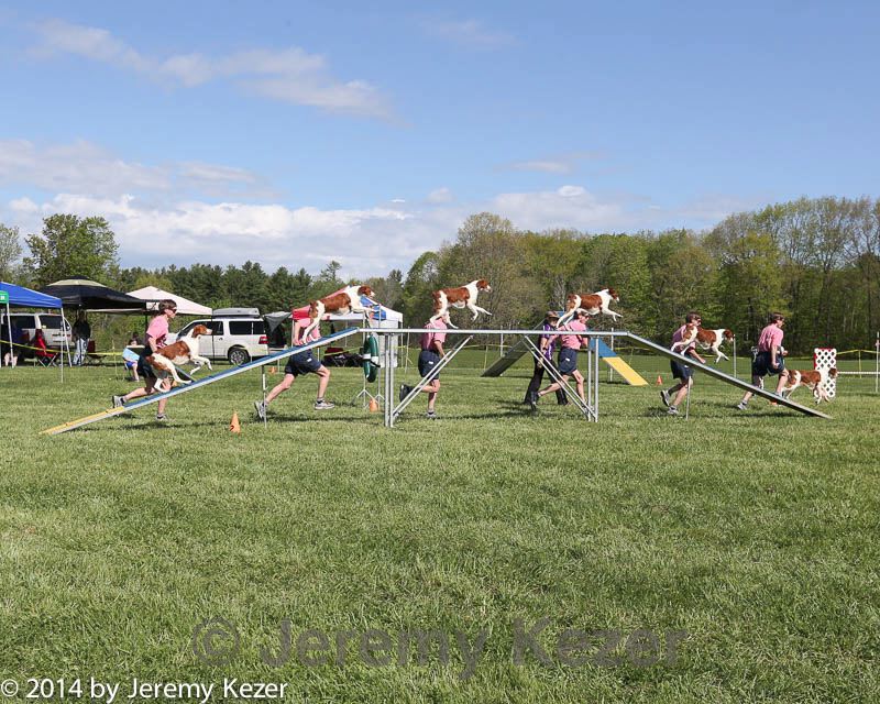 20140518-co-0011.jpg