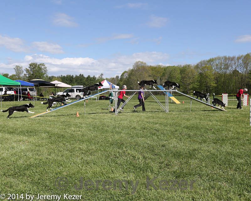 20140518-co-0013.jpg