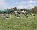 20140518-co-0028