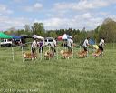 20140518-co-0029