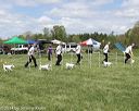 20140518-co-0033