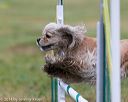 20140613-0281