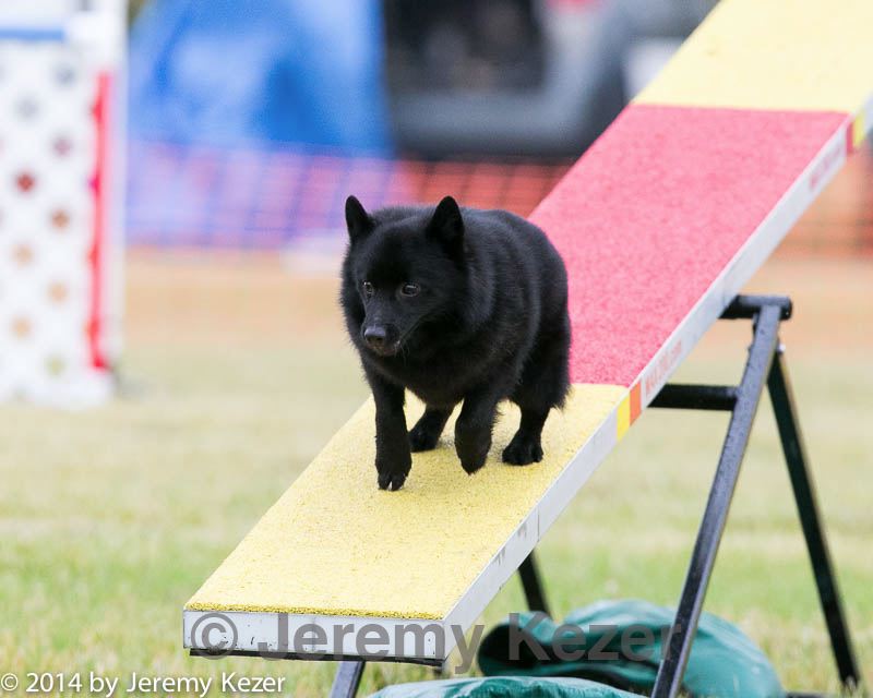 20140613-0251.jpg
