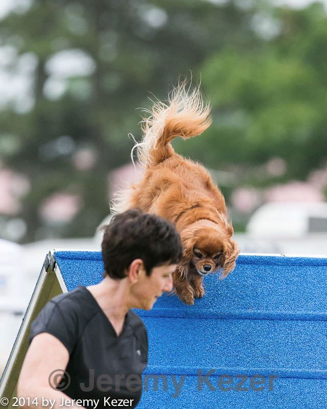 20140613-0256.jpg