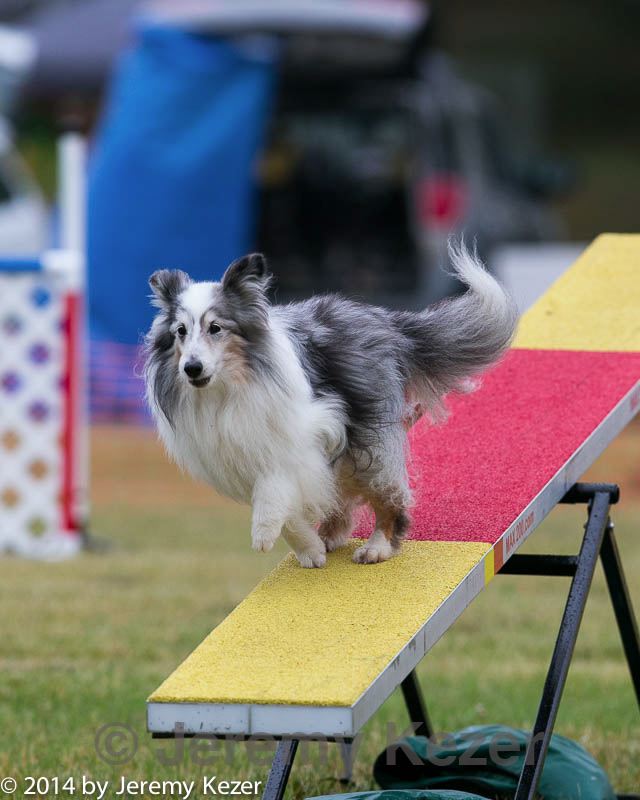 20140613-0261.jpg