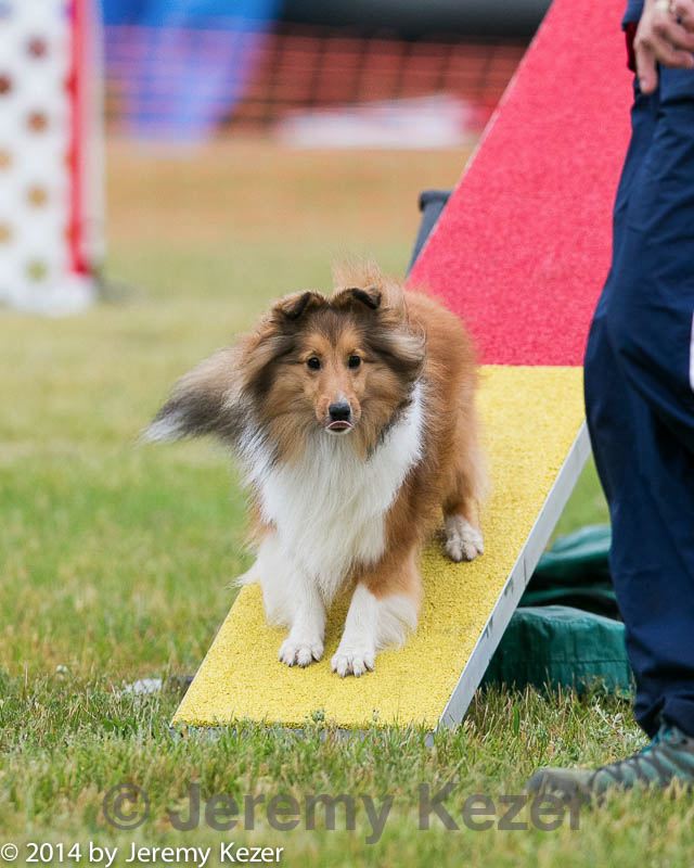 20140613-0270.jpg