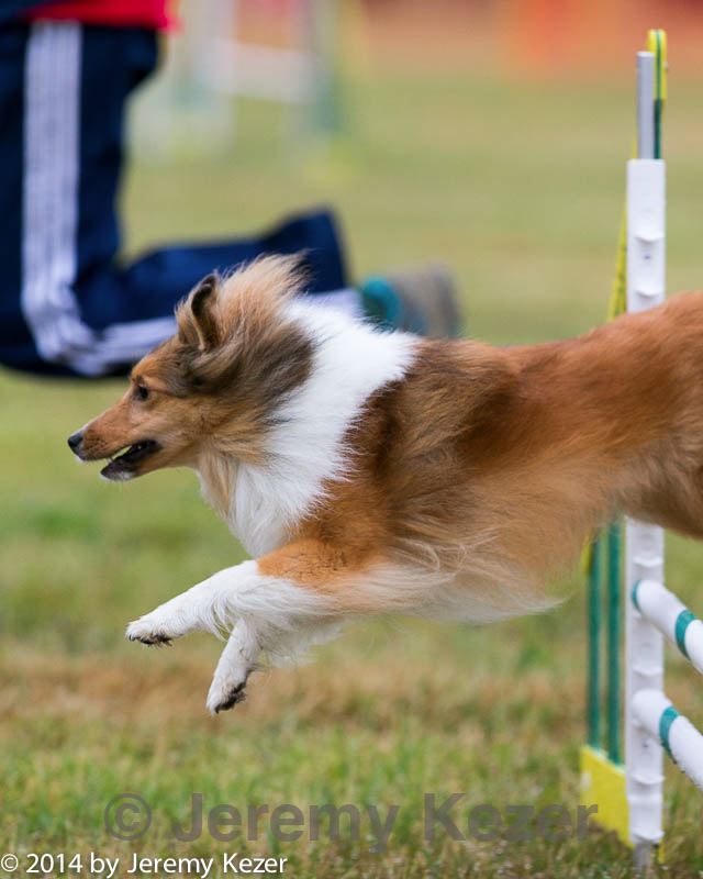 20140613-0272.jpg