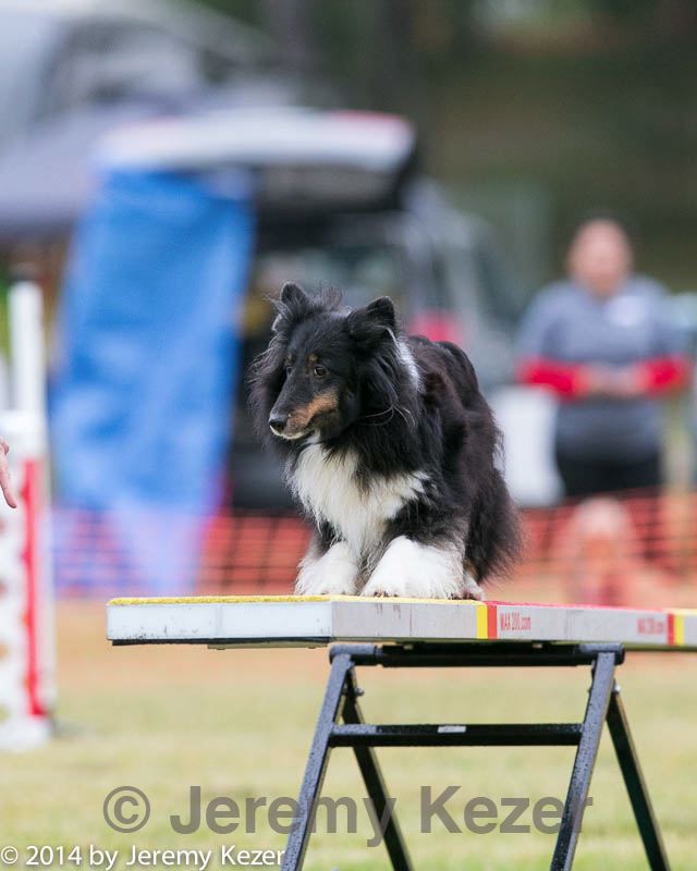 20140613-0162.jpg
