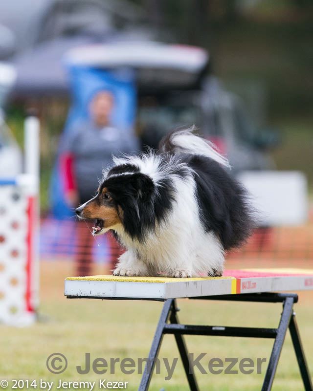 20140613-0207.jpg