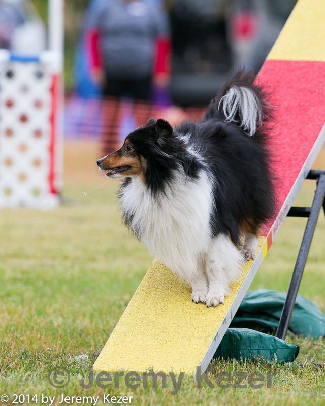 20140613-0210.jpg