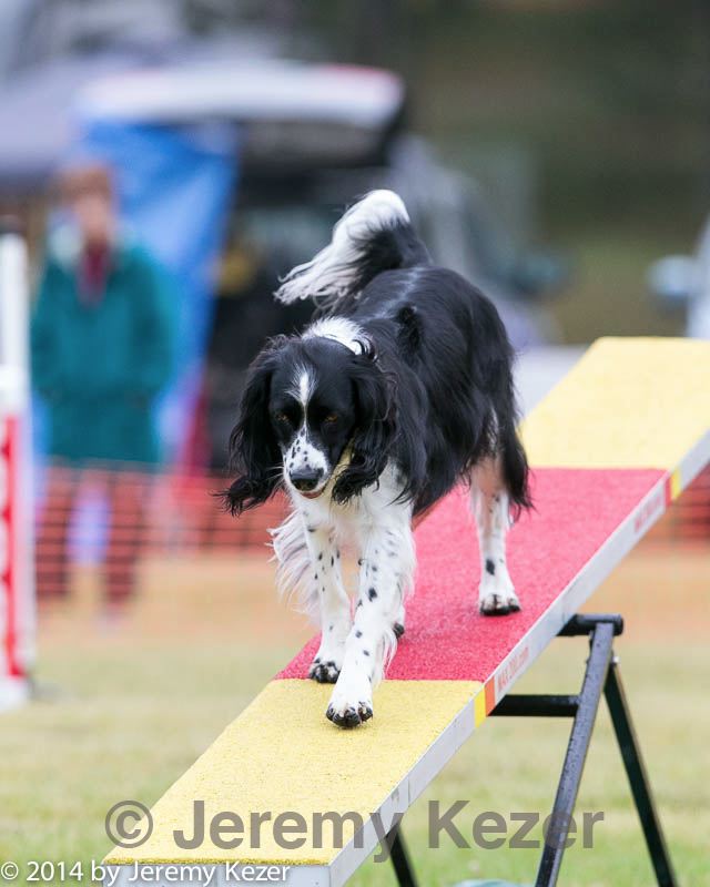 20140613-0228.jpg