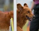 20140613-0036