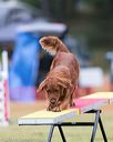20140613-0065