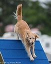 20140613-0114
