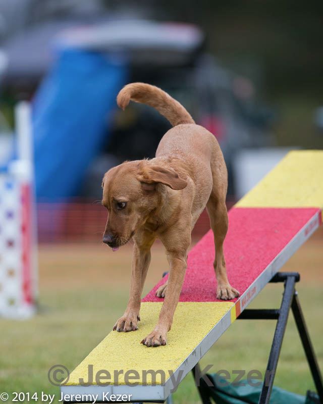 20140613-0058.jpg