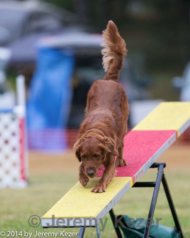 20140613-0066.jpg