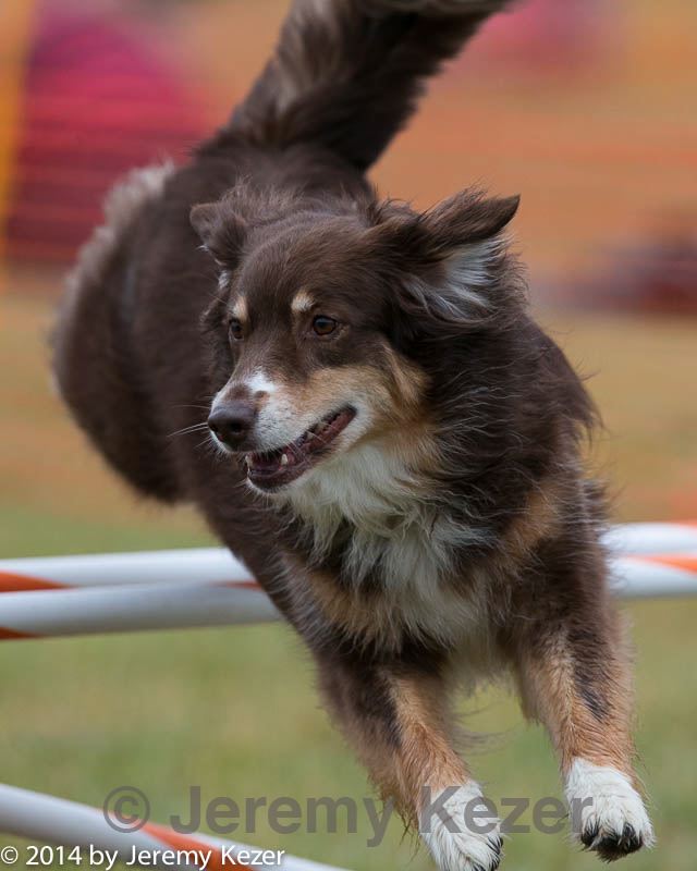 20140613-0118.jpg