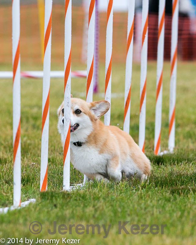 20140613-1300.jpg