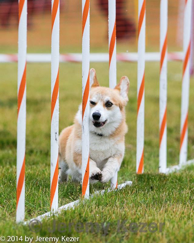 20140613-1302.jpg