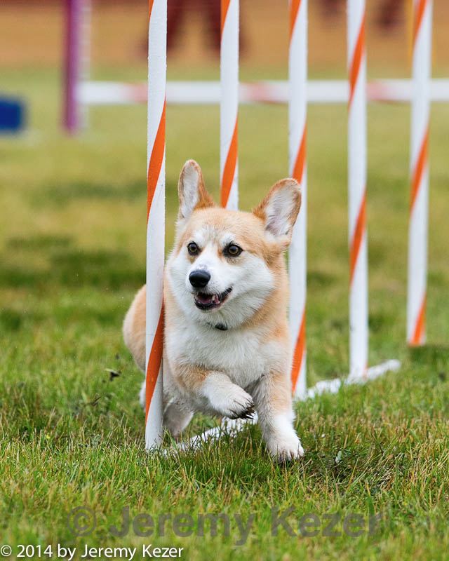 20140613-1305.jpg