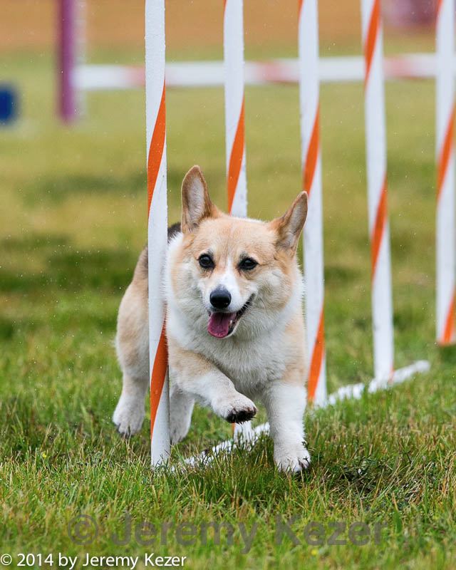 20140613-1309.jpg