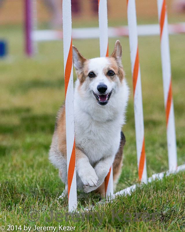20140613-1342.jpg