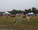 20140613-comp-0004