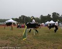 20140613-comp-0005